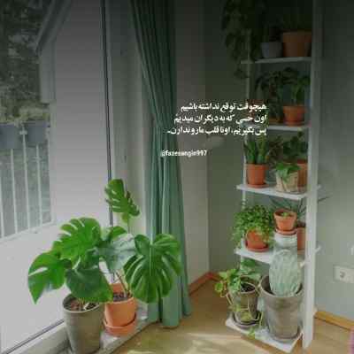 آهنگ کجاست بارشی از ابر مهربان صدایت از همایون شجریان