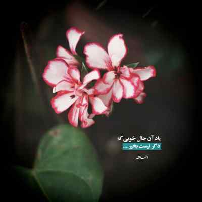 آهنگ میخوام جدی باشم اخم میکنم لوس میکنی خندم میگیره مجید رضوی