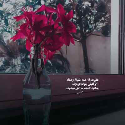 آهنگ ماشین متوسطو نمیرونمش لجبازم کوه بدین بریزونمش پیشرو ریمیکس