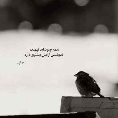 آهنگ بیا منو از این شبا ردم کن بیس دار سیستمی ریمیکس