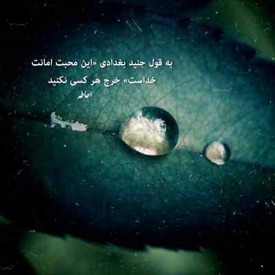 آهنگ نور چشامی تو مث خدامی مسعود محمدی + دانلود