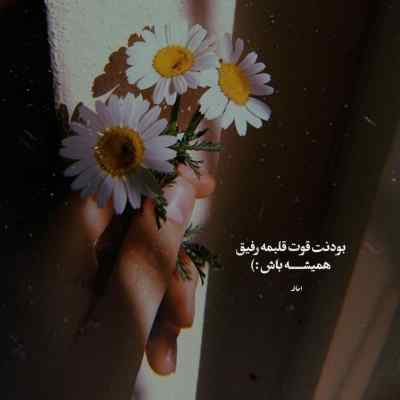 آهنگ پر از همه شب بشه میرم مهیاد + دانلود