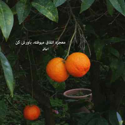 آهنگ میدونم اونکه دوسم داشت منو میبینه تو جامش + دانلود