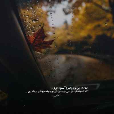 آهنگ آی یار دلدار مونی مو خریدار تونم محمد اسلاملو + دانلود