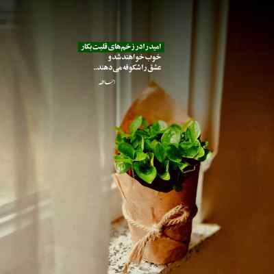 آهنگ Nuri Serinlendirici O Gözel Xanımdı اجرای زنده + دانلود