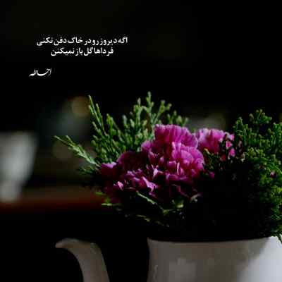 آهنگ Ode an den Bass از PaulWetz + دانلود
