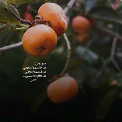 آهنگ بیشتر از سن خودم فهمیدم پیر شدم پیشرو + دانلود