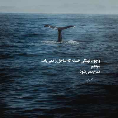آهنگ رفتم که اشکامو نبینی داغ دل من پنهون بمونه احسان خواجه امیری