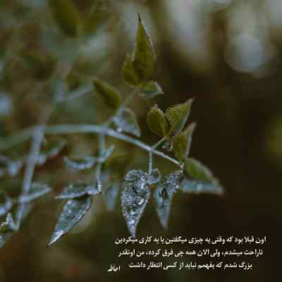 آهنگ اولا شیرینی مثل کوالا نمیکنی کار فولا + دانلود