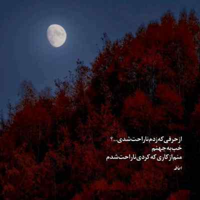 آهنگ حالا که نیستم الکل بزن حسابی سینا پرهیز + دانلود