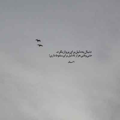 آهنگ سکوت شویلم خوین چویلم اجرای زنده ارکستی + دانلود