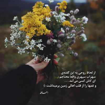 آهنگ پروانه ها وقتی که میسوختن محسن چاوشی ریمیکس