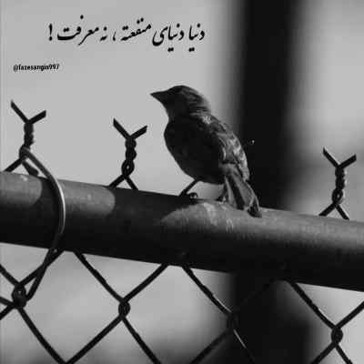 آهنگ اخه به هر زبون میگم دوست دارم انت معلم ریمیکس