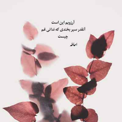 آهنگ تو هم مثل من از دنیا بریدی چرا که از وفا خیری ندیدی
