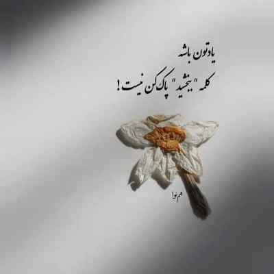 آهنگ محسن احمدی عشق اولیمی و عشق آخرمی لری + دانلود