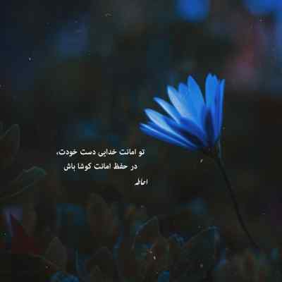 آهنگ یکی بود یکی نبود زیر گنبد کبود تو شدی قصه عشق منصور