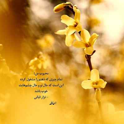 آهنگ همیشه حق با تو بوده خب دیگه چه کاریه محسن یگانه