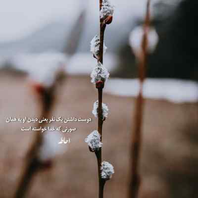 آهنگ Desert Rose از XZEEZ & OTASH روسی + دانلود