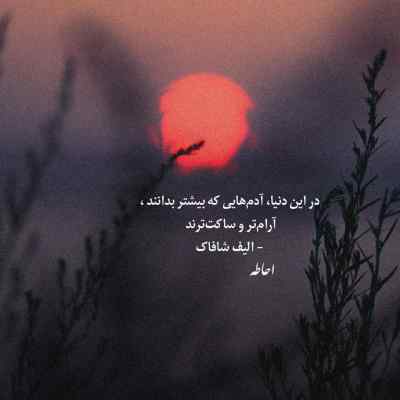 آهنگ دیگه نمیگم بیشتر از همیشه میخوامت مهیار + دانلود