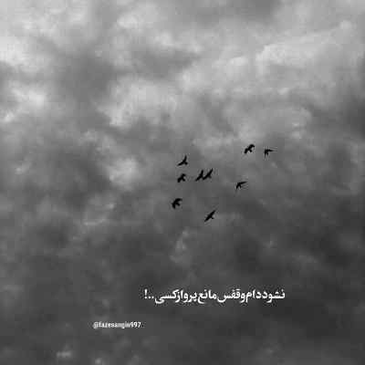 آهنگ نوای منی بی نوای توام بلای منی مبتلای توام علیرضا افتخاری + دانلود