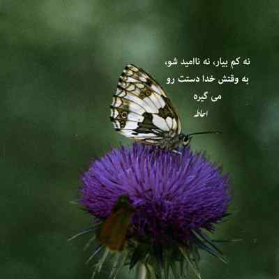 آهنگ نمیخوام جا بزنم تو گذشته دستو پا بزنم ساناز + دانلود