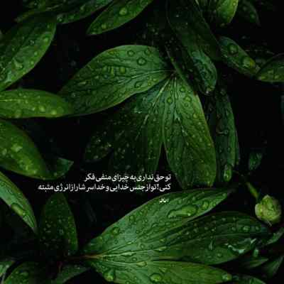 آهنگ دوستات پیگیرمن میخوای بدم اسکیرینش علی گرامی + دانلود