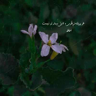 دانلود آهنگ جلوی آینه نرو آینه خجالت میکشه سامان