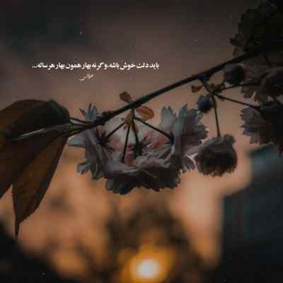 آهنگ این منم از همه جا وا مانده ورژن اسلو اینستا ریمیکس
