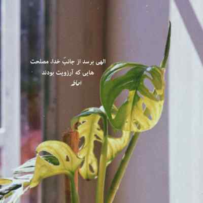 آهنگ یکی بود یکی نبود زیر گنبد کبود تو شدی قصه عشق منصور