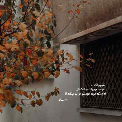 آهنگ Bu Ne Bela از Giz ترکی