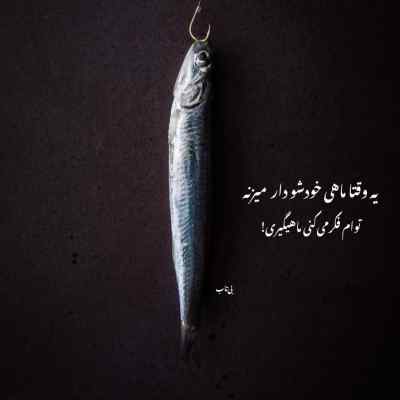 آهنگ تو سر جنگی محاله دلت آرامش بخواد محسن یگانه + دانلود