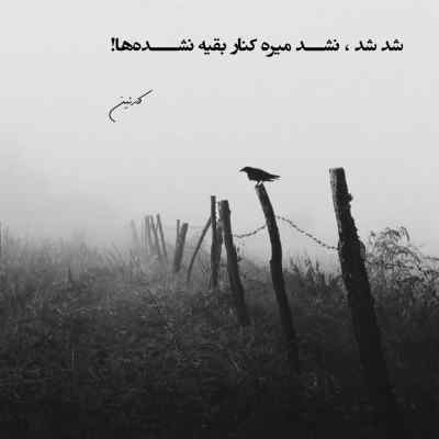 آهنگ میلرزونمت با هرخط تکون بخور مادر سگ ریمیکس