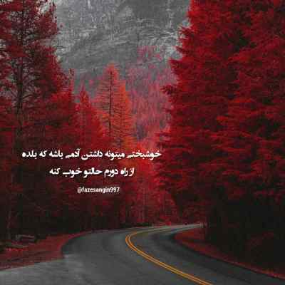 آهنگ نوای منی بی نوای توام بلای منی مبتلای توام علیرضا افتخاری + دانلود