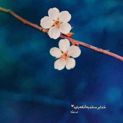 آهنگ نور چراغ خونه ی این دل دیوونه تویی + دانلود