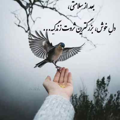 آهنگ خطر کردی نترسیدی منو دلداده کردی + دانلود