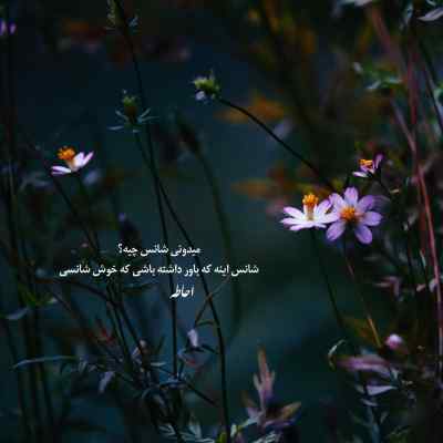 آهنگ یه نفر منتظره تو بهارش باشی محسن چاوشی + دانلود