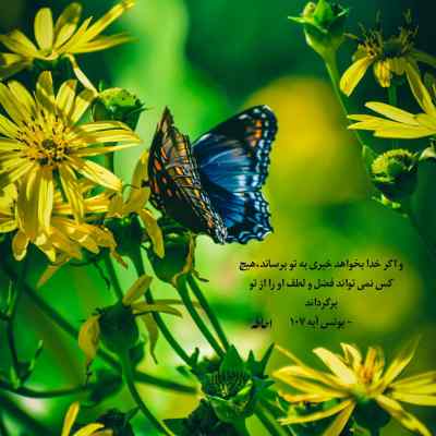 آهنگ نگفتی بعد تو چی میاد سرم دیدی که مه فرهاد جهانگیری
