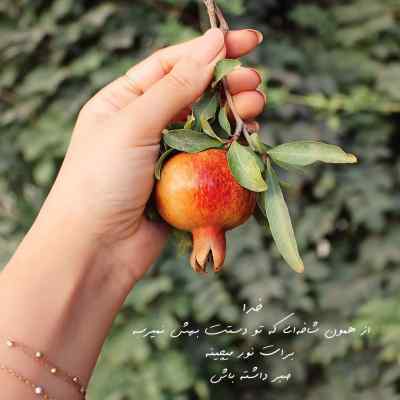 آهنگ Alta Gracia از Oscar Harris + دانلود