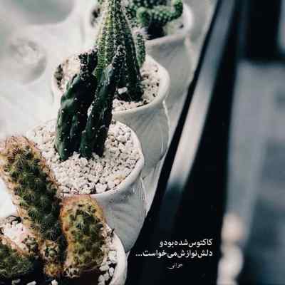 آهنگ پس بذار آتیش بگیرن تموم لحظه هایی که بی تو سر میشه د دان