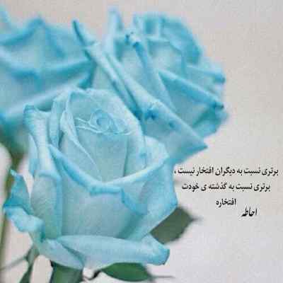 آهنگ عاشقم من دنیای من تویی تو مجتبی بدری