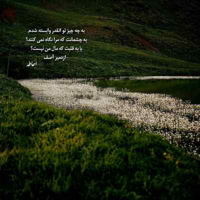 آهنگ گل سرخ و سفیدم دسته دسته عزیز بشینه کنارم مجتبی بدری