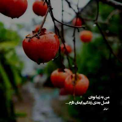 دانلود آهنگ سروش فرهمند ته سیگار صورتی