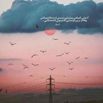 آهنگ ظالم علی احمدیانی شایع بهرام رضا پیشرو امیر تتلو ریمیکس