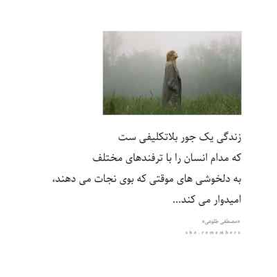 آهنگ دوست دارم مجید رضوی شایع و امیر خلوت ریمیکس