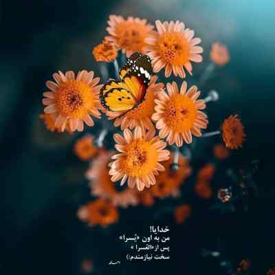 آهنگ شهر تار ناجی امیر خلوت مسلک علی سورنا بهرام شایع ریمیکس