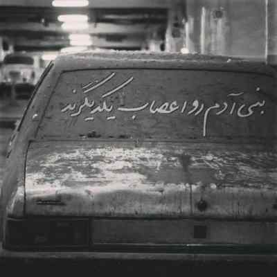 آهنگ علی زندوکیلی شگرد دانلود کیفیت اصلی