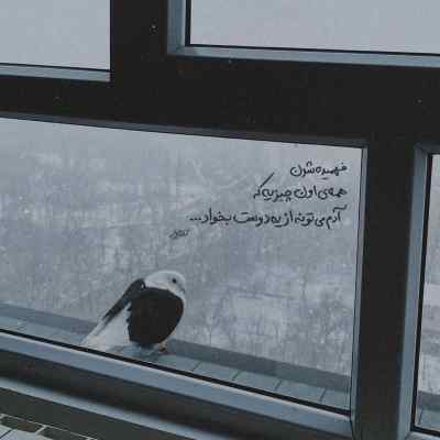 آهنگ الهه ی ناز اصل رپ بنان هیچکس علی سورنا شایع و دانیال ریمیکس