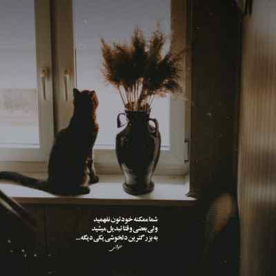 آهنگ مامان صدف آی بله میایم تا هفت آی بله فدی