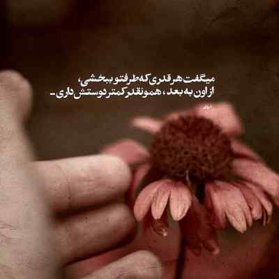 آهنگ مهم نی حصین هیپهاپولوژیست و امیر تتلو ریمیکس
