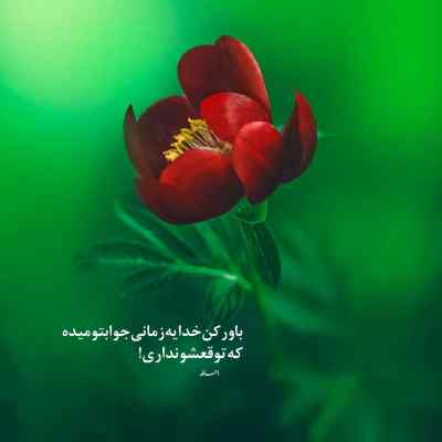 آهنگ میشه برگردی ناجی و علی سورنا و حصین و بهرام ریمیکس